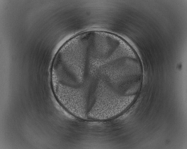 X0000088891341200707061424