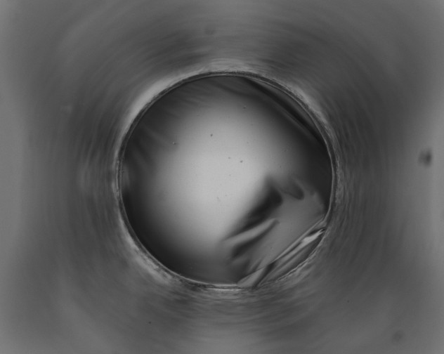 X0000088891342200707061424