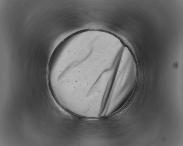 X0000088891343200707061424