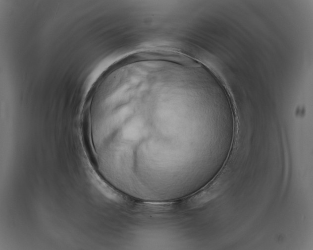 X0000088891344200707061424