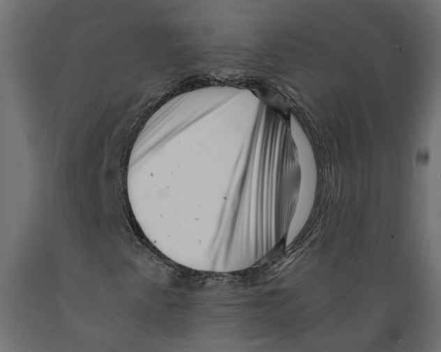 X0000088891345200707061423