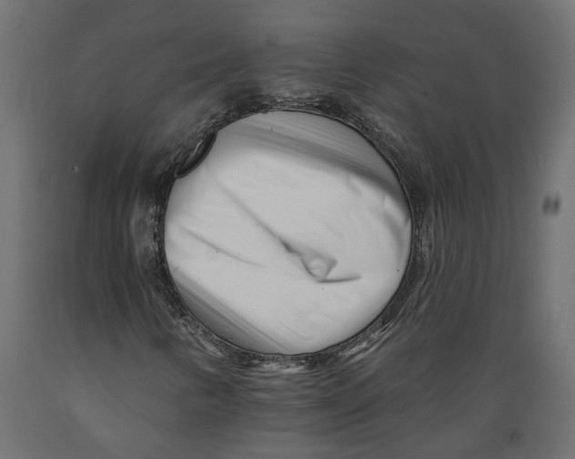 X0000088891346200707061423