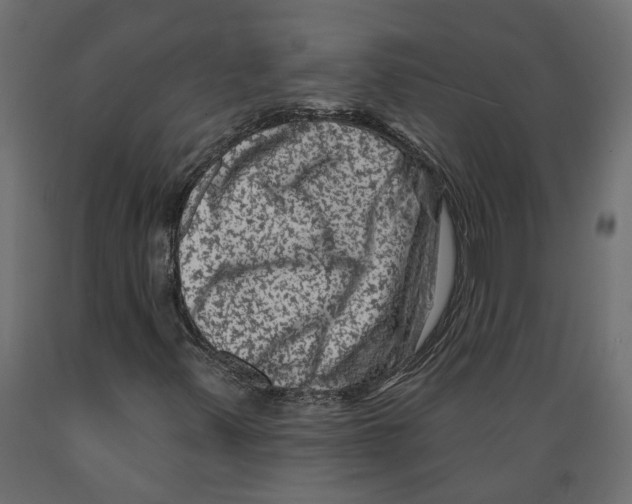 X0000088891347200707061423