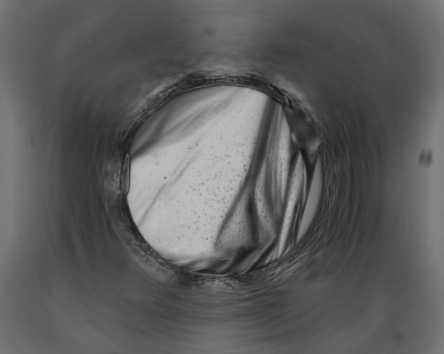 X0000088891348200707061423