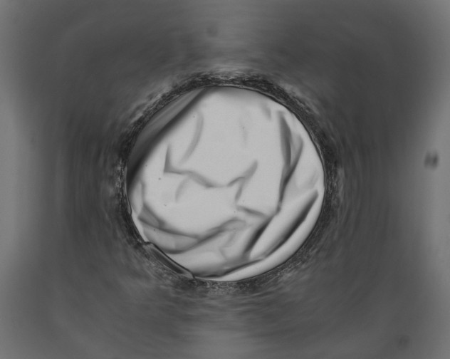 X0000088891349200707061423