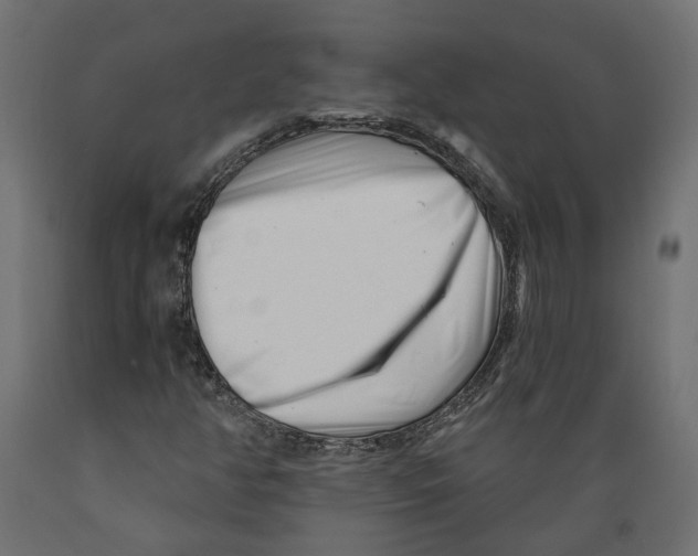 X0000088891350200707061423