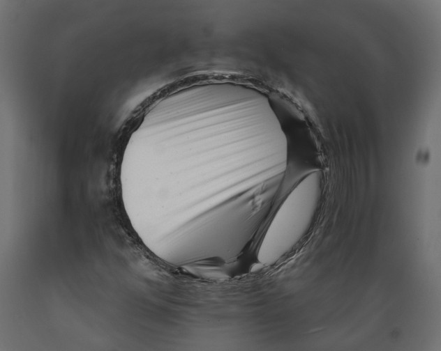 X0000088891352200707061423