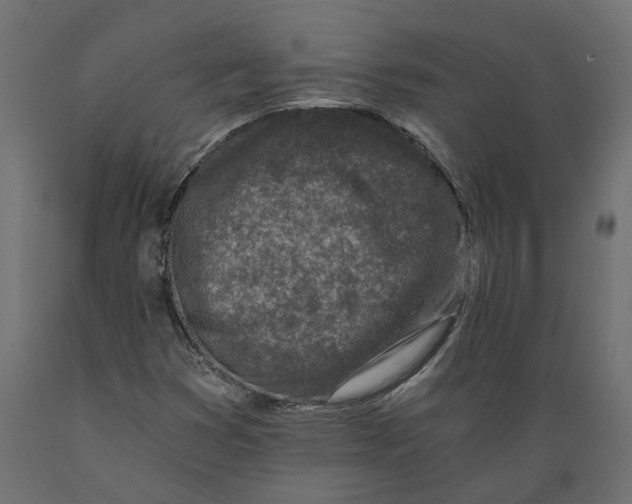 X0000088891353200707061423