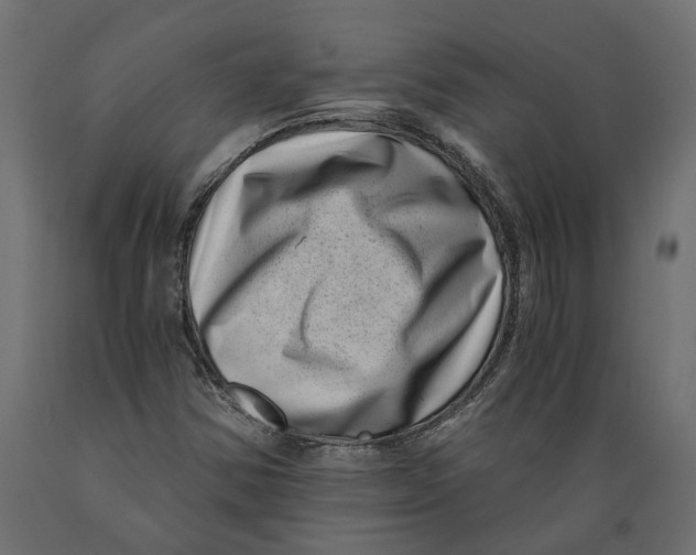 X0000088891354200707061423