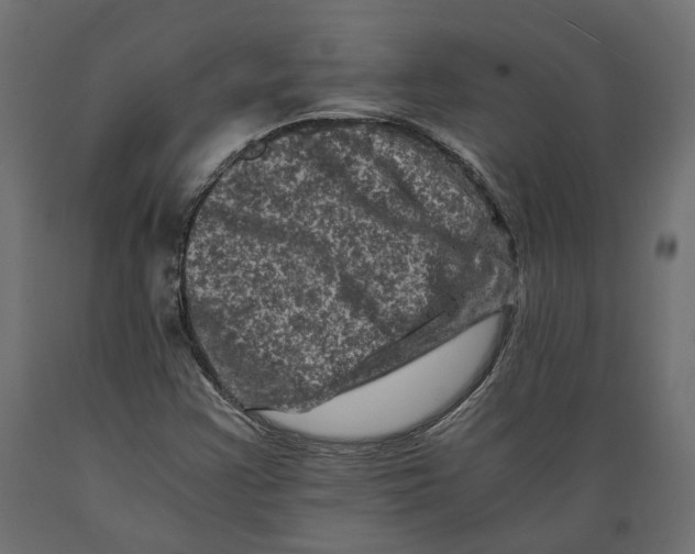 X0000088891355200707061423