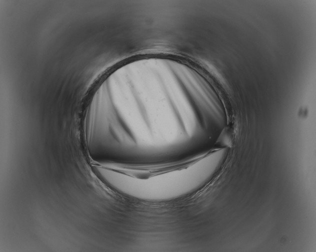 X0000088891356200707061423
