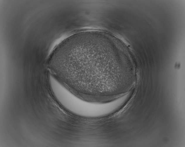 X0000088891357200707061423