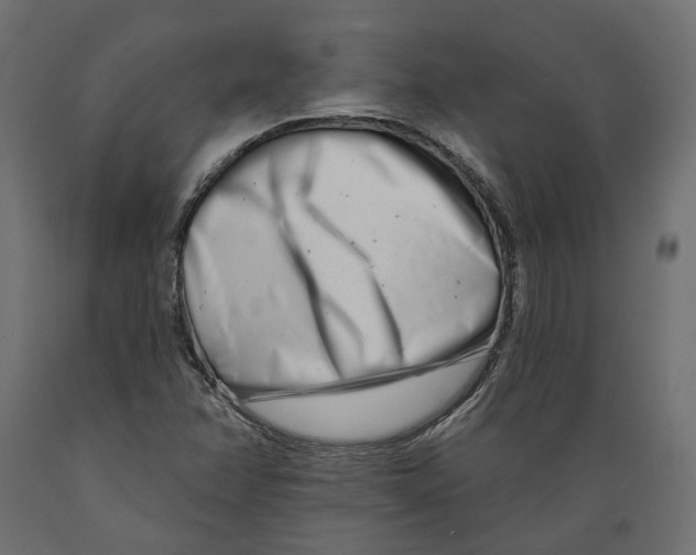 X0000088891358200707061423