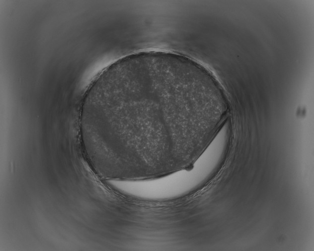 X0000088891359200707061423