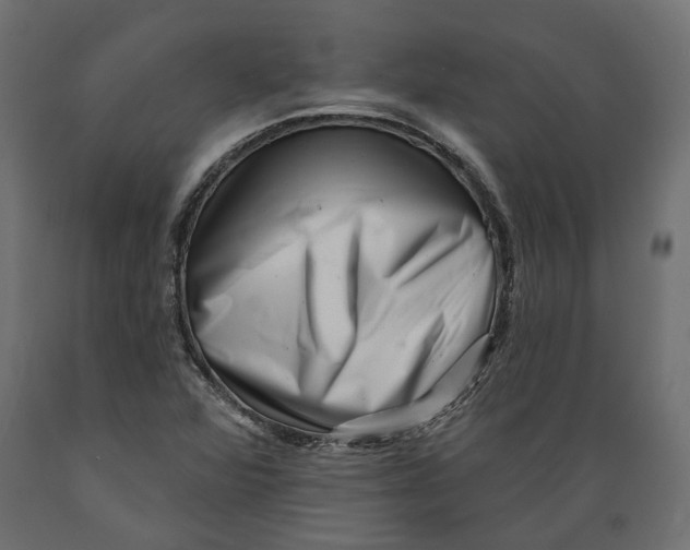 X0000088891360200707061423