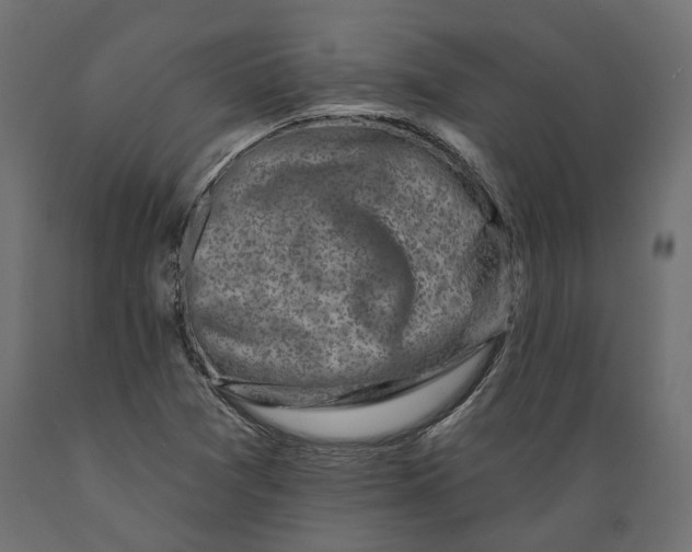 X0000088891361200707061423