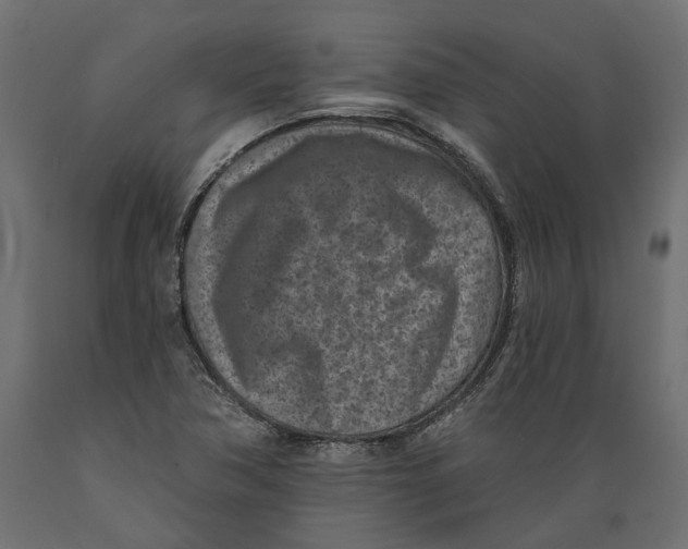 X0000088891362200707061423