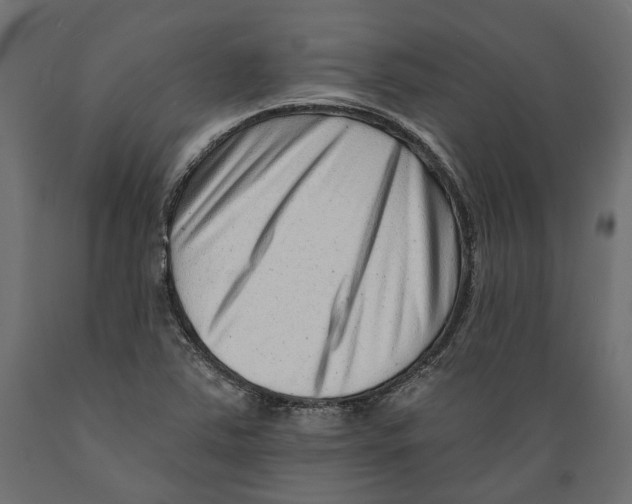 X0000088891363200707061423