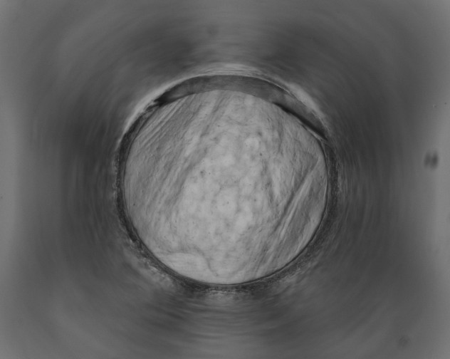 X0000088891364200707061423
