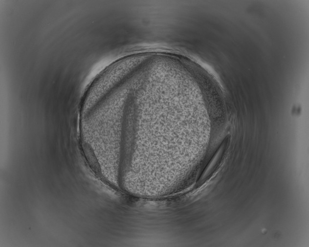X0000088891365200707061423