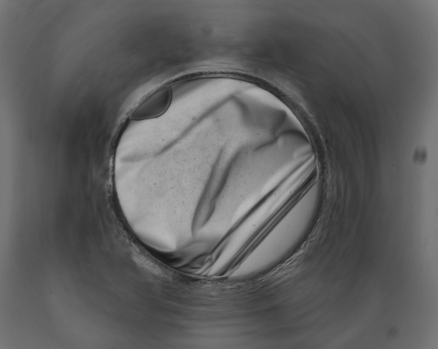 X0000088891366200707061423