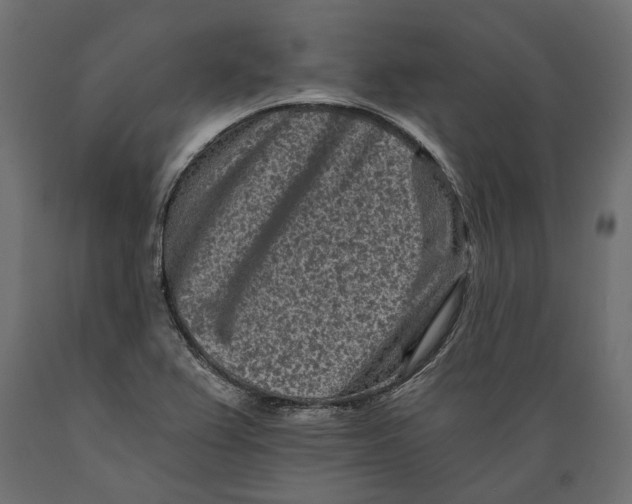 X0000088891367200707061423