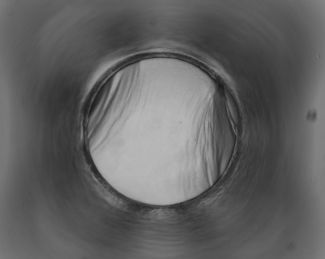 X0000088891368200707061423