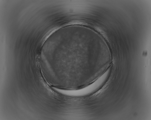 X0000088891369200707061423