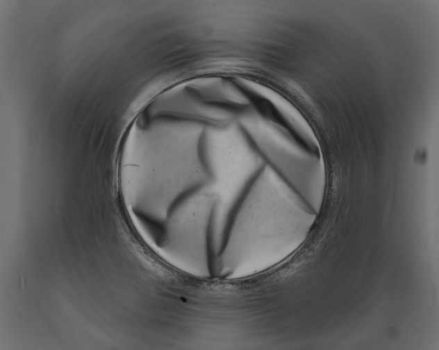 X0000088891370200707061423