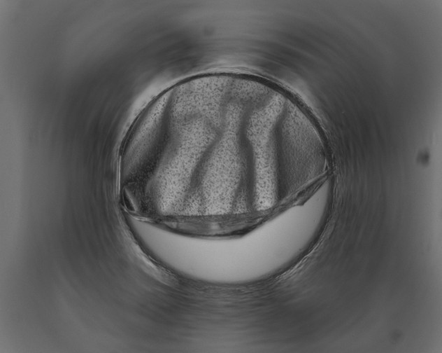 X0000088891371200707061422