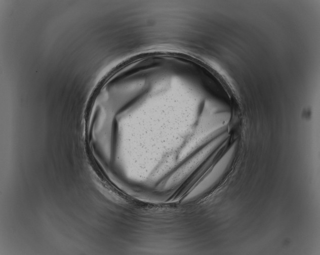 X0000088891372200707061422