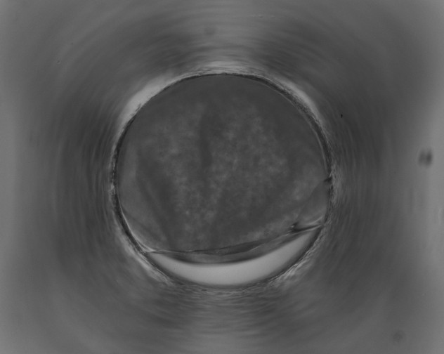 X0000088891373200707061422