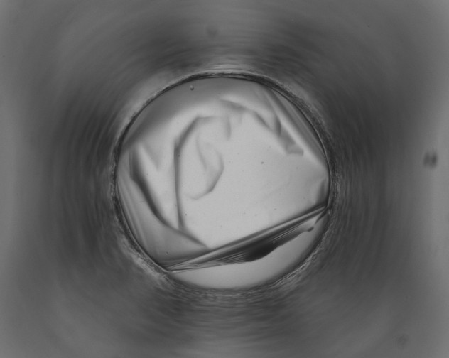 X0000088891374200707061422