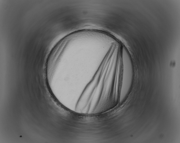 X0000088891375200707061422
