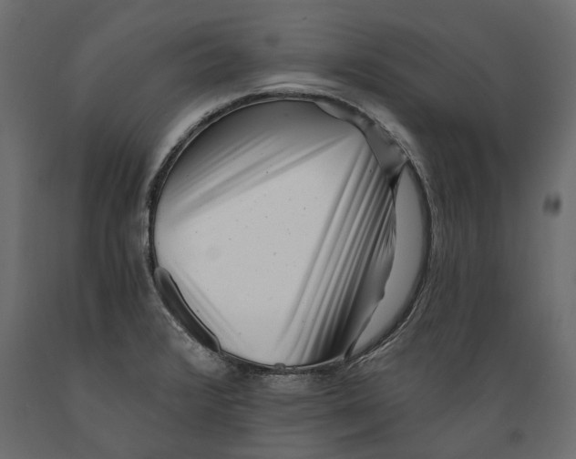 X0000088891376200707061422