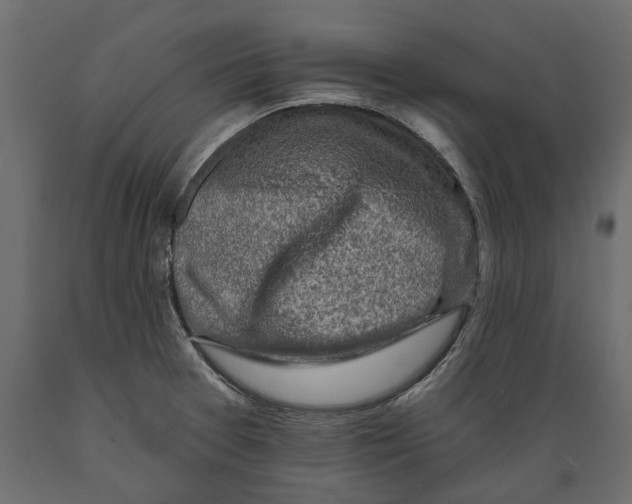 X0000088891377200707061422