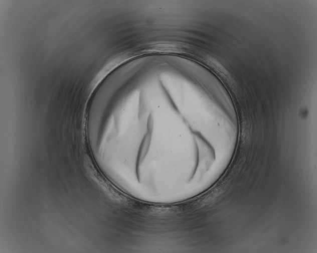 X0000088891378200707061422