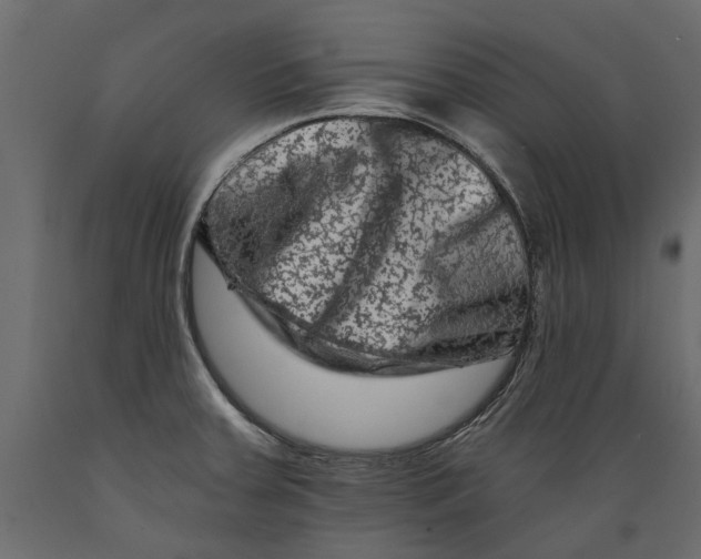 X0000088891379200707061422