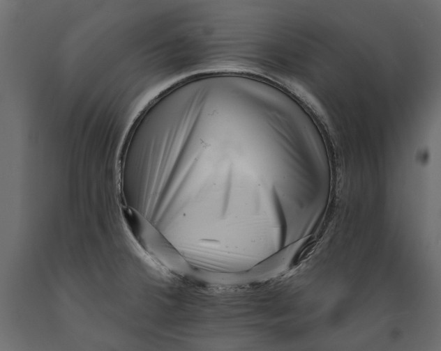 X0000088891380200707061422