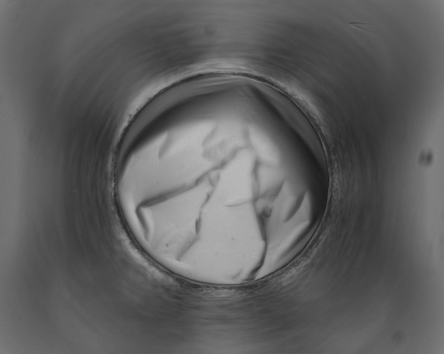 X0000088891382200707061422