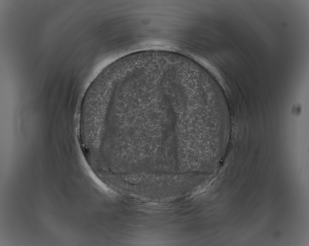 X0000088891383200707061422