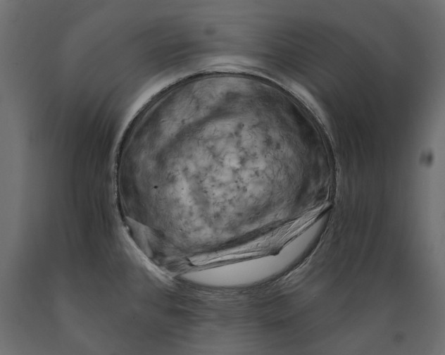 X0000088891384200707061422