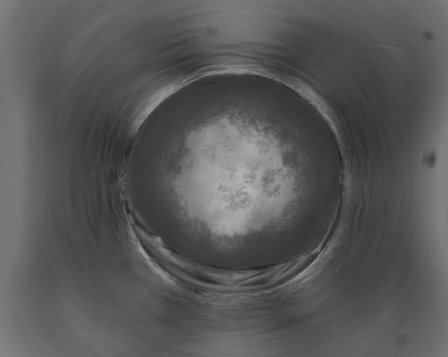 X0000088891385200707061422