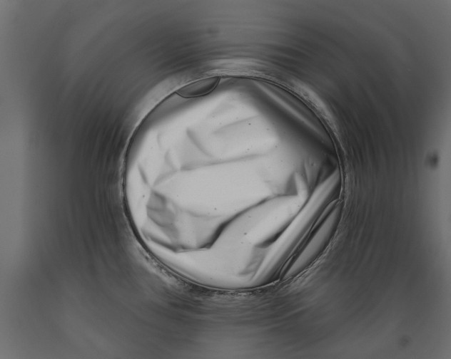 X0000088891386200707061422
