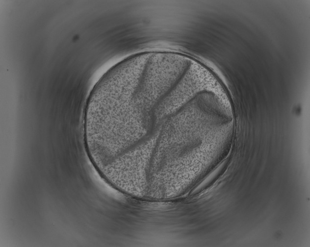 X0000088891387200707061422