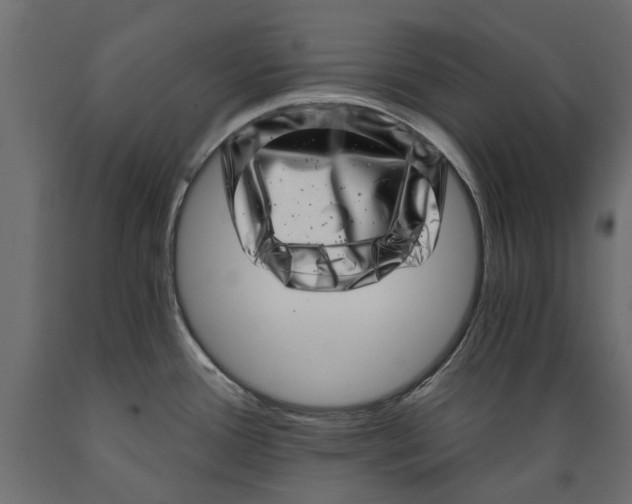 X0000088891388200707061422