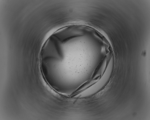 X0000088891389200707061422