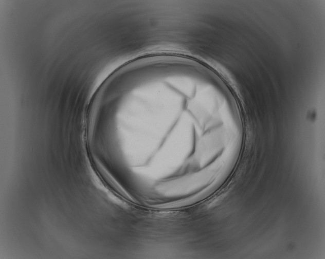 X0000088891390200707061422