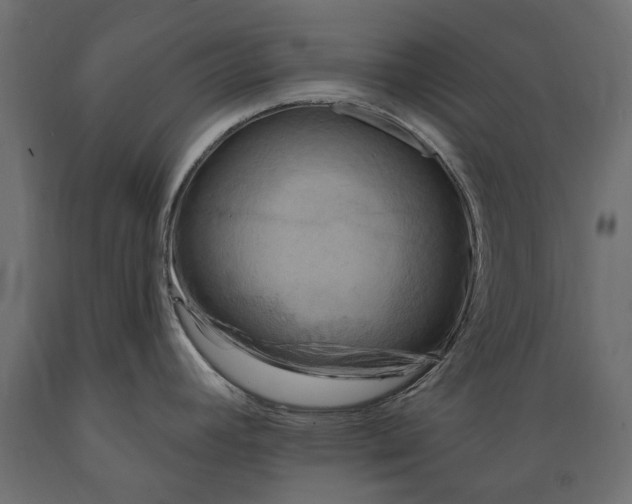 X0000088891392200707061422