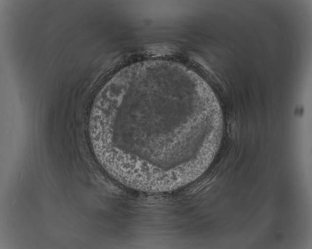 X0000088891393200707061422